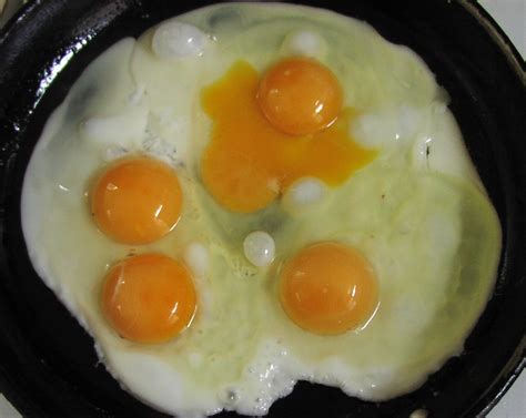 double yolk egg superstition.